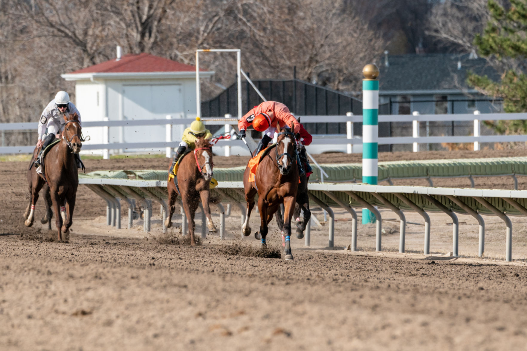 04202020_Fonner_Park_65th_Special_Stakes_EC_020.jpg
